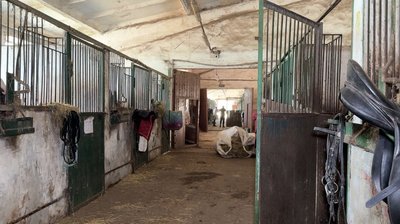 На Сумщині військовослужбовці проходять реабілітацію за допомогою коней На Сумщині військовослужбовці проходять реабілітацію за допомогою коней