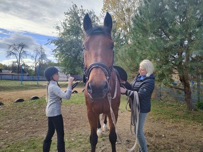 У школі на Черкащині створили власну кінну ферму У школі на Черкащині створили власну кінну ферму