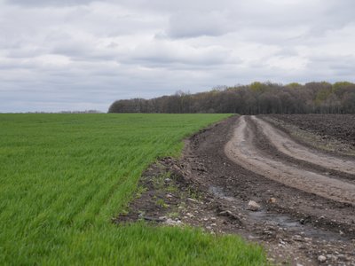 Скільки платять за пай на Полтавщині: умови агрохолдингів і фермерів Скільки платять за пай на Полтавщині: умови агрохолдингів і фермерів