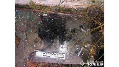 Пожежа: на Чернігівщині затримали 49-річну жінку за підозрою у підпалі дачного будинку сусідів Пожежа: на Чернігівщині затримали 49-річну жінку за підозрою у підпалі дачного будинку сусідів