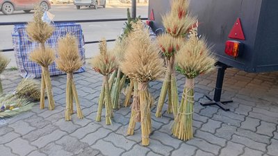 Ціни на дідухи на тернопільському ринку, Тернопіль, 16 грудня 2025 року