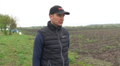 Екзотика до столу: як на Черкащині фермер вирошує артишок Екзотика до столу: як на Черкащині фермер вирошує артишок