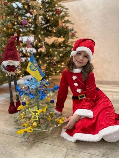 Виставку патріотичних ялинок у режимі онлайн відкривають житомиряни