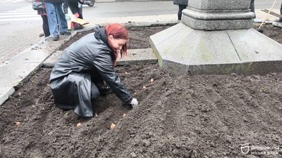 Студенти релокованого університету з Маріуполя висадили тюльпани у Дніпрі Студенти релокованого університету з Маріуполя висадили тюльпани у Дніпрі