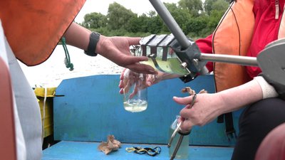 Епідеміологи взяли проби води з озера Басів Кут у Рівному Епідеміологи взяли проби води з озера Басів Кут у Рівному