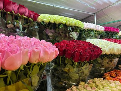Ціни на квіти у Житомирі перед 8 березня: чи варто очікувати подорожчання Ціни на квіти у Житомирі перед 8 березня: чи варто очікувати подорожчання