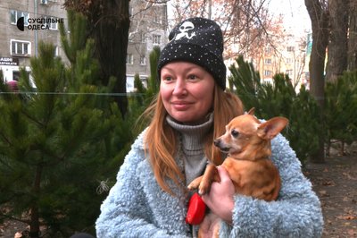 "Ялинка зробить святковий настрій": яка її вартість в Одесі "Ялинка зробить святковий настрій": яка її вартість в Одесі