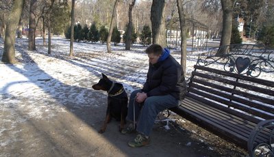 "Холод може бути небезпечним": як кропивничани допомагають тваринам під час морозів "Холод може бути небезпечним": як кропивничани допомагають тваринам під час морозів
