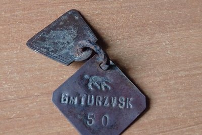 До музею на Волині передали собачі реєстраційні жетони для полювання: як та коли його використовували До музею на Волині передали собачі реєстраційні жетони для полювання: як та коли його використовували