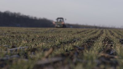 На Вінниччині завершують підживлення озимини На Вінниччині завершують підживлення озимини