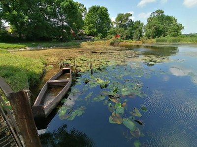 Фотоакція