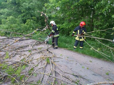На Житомирщині за добу двічі прибирали дерева з доріг після негоди На Житомирщині за добу двічі прибирали дерева з доріг після негоди