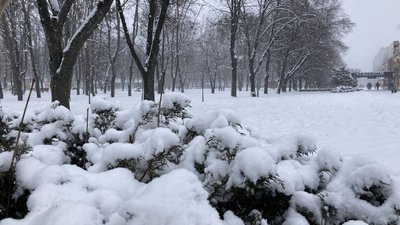 Сніг у Харкові Сніг у Харкові