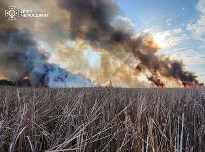 Жінка отримала опіки обличчя: на Черкащині за добу виникло 13 пожеж Жінка отримала опіки обличчя: на Черкащині за добу виникло 13 пожеж