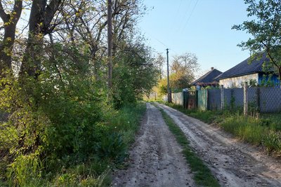 Одна із вулиць села Шишківці Чернівецької області Одна із вулиць села Шишківці Чернівецької області