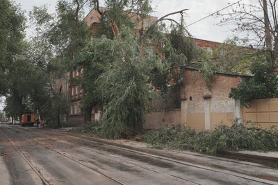 30 м/с могли сягати пориви вітру у Харкові під час буревію 12 липня — синоптикиня 30 м/с могли сягати пориви вітру у Харкові під час буревію 12 липня — синоптикиня