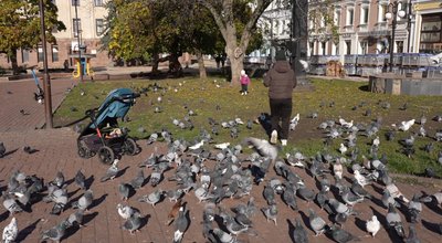 Ініціатива про заборону годувати голубів у громадських місцях Ініціатива про заборону годувати голубів у громадських місцях