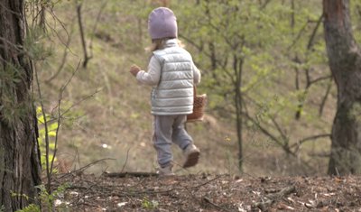 Симптоми можуть з'явитися і через кілька днів: черкаський медик розповів, як не отруїтися грибами Симптоми можуть з'явитися і через кілька днів: черкаський медик розповів, як не отруїтися грибами