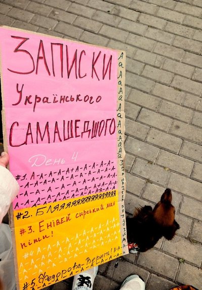 Протести, Ліна Костенко, «Записки українського самашедшого» Протести, Ліна Костенко, «Записки українського самашедшого»