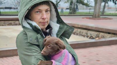 Як війна впливає на домашніх улюбленців Як війна впливає на домашніх улюбленців