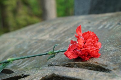 У День пам'яті та перемоги над нацизмом у Харкові вшанували пам'ять загиблих у Другій світовій війни, 8 травня 2025 року У День пам'яті та перемоги над нацизмом у Харкові вшанували пам'ять загиблих у Другій світовій війни, 8 травня 2025 року