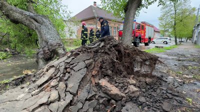Буревій у Кропивницькому: дерева попадали на дороги, тротуари та будинки Буревій у Кропивницькому: дерева попадали на дороги, тротуари та будинки