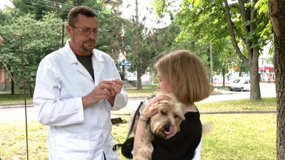 У Рівненській громаді від сказу щеплюватимуть домашніх котів і собак. Де та коли У Рівненській громаді від сказу щеплюватимуть домашніх котів і собак. Де та коли