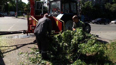 Негода на Житомирщині: повалені дерева та обірвані лінії електропередач Негода на Житомирщині: повалені дерева та обірвані лінії електропередач