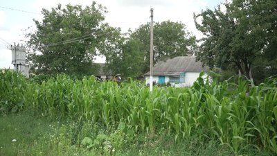 Люди скаржаться на сміттєзвалище поблизу села Дубини на Рівненщині Люди скаржаться на сміттєзвалище поблизу села Дубини на Рівненщині