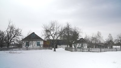 Між лісом і тишею: історія села Ледне на Рівненщині Між лісом і тишею: історія села Ледне на Рівненщині