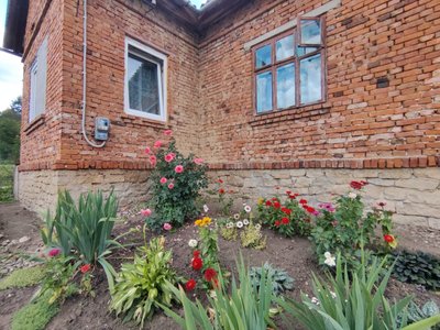 будинок, квітник будинок, квітник