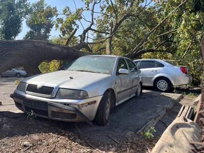 У Дніпрі через сильний вітер на дороги й автівки падають дерева У Дніпрі через сильний вітер на дороги й автівки падають дерева