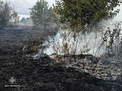 Вогонь перекинувся на будинок: на Черкащині виникло сім пожеж на відкритих територіях Вогонь перекинувся на будинок: на Черкащині виникло сім пожеж на відкритих територіях