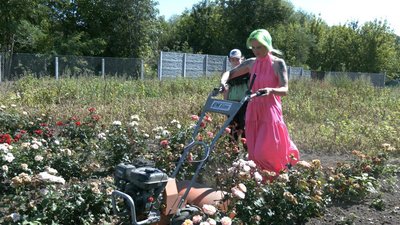 Кохання живе стільки, скільки живе пам’ять про нього Кохання живе стільки, скільки живе пам’ять про нього