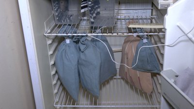 Скоро на волю: випустити кажанів у природу готуються у рівненській філії Центру реабілітації рукокрилих Скоро на волю: випустити кажанів у природу готуються у рівненській філії Центру реабілітації рукокрилих
