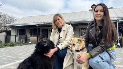 З окопів – у родину: пес з Авдіївки знайшов дім у Кропивницькому З окопів – у родину: пес з Авдіївки знайшов дім у Кропивницькому