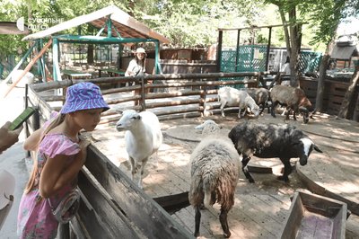 Одеський зоопарк Сільський дворик Одеський зоопарк Сільський дворик