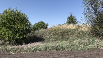 Мов подих вільного степу: курган із червонокнижними рослинами на Черкащині стане пам’яткою природи Мов подих вільного степу: курган із червонокнижними рослинами на Черкащині стане пам’яткою природи