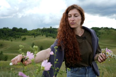 Любов Попова, трави, чай, козіївка Любов Попова, трави, чай, козіївка