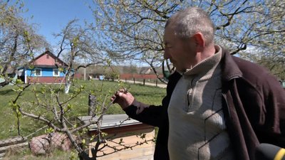 Як квітневі заморозки на Волині вплинули на майбутній врожай фруктових і плодових дерев Як квітневі заморозки на Волині вплинули на майбутній врожай фруктових і плодових дерев