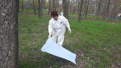 25 з 60 інфіковані хворобою Лайма: у Кропивницькому збирають і перевіряють кліщі 25 з 60 інфіковані хворобою Лайма: у Кропивницькому збирають і перевіряють кліщі