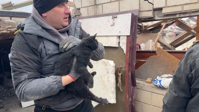 Чоловік тримає вцілілого кота після обстрілу Краматорськ Донецька область 14 січня 2026 рік Чоловік тримає вцілілого кота після обстрілу Краматорськ Донецька область 14 січня 2026 рік
