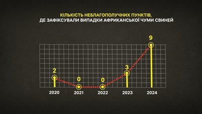 Галузь свинарства на Полтавщині: які загрози для агрофірм та селян Галузь свинарства на Полтавщині: які загрози для агрофірм та селян