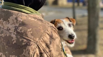 "Собака не тільки має охороняти, а й може працювати в реабілітації": як чотирилапа Берта допомагає дітям і ветеранам "Собака не тільки має охороняти, а й може працювати в реабілітації": як чотирилапа Берта допомагає дітям і ветеранам
