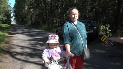 Збір та продаж чорниць у Житомирській області: скільки коштує ягода і чи багато є цьогоріч Збір та продаж чорниць у Житомирській області: скільки коштує ягода і чи багато є цьогоріч