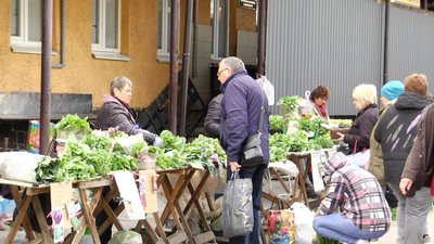 Розсада на Житньому ринку в Житомирі: що продають і скільки коштує Розсада на Житньому ринку в Житомирі: що продають і скільки коштує