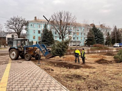 У Краматорську висадили ялинки
