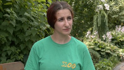 Як тварини переносять спеку у Луцькому зоопарку