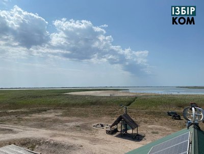 Мертві дельфіни, висохлі озера і голодні кулики: як російська агресія шкодить природі Одещини Мертві дельфіни, висохлі озера і голодні кулики: як російська агресія шкодить природі Одещини