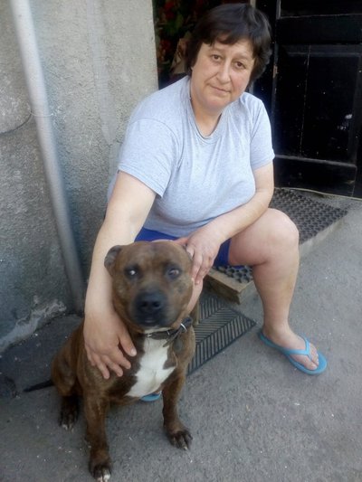 В Одесі доньці загиблої військовослужбовиці відмовляють у виплатах нібито через брак документів В Одесі доньці загиблої військовослужбовиці відмовляють у виплатах нібито через брак документів